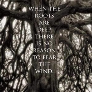 Meet your Posher, December